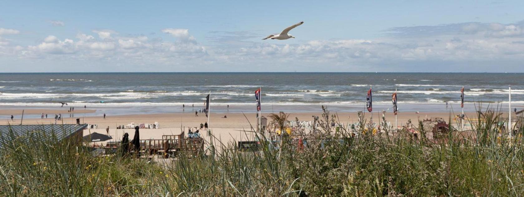 Beach&Dunes Apartment Zandvoort Exterior photo